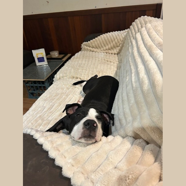 Photo of Charlie