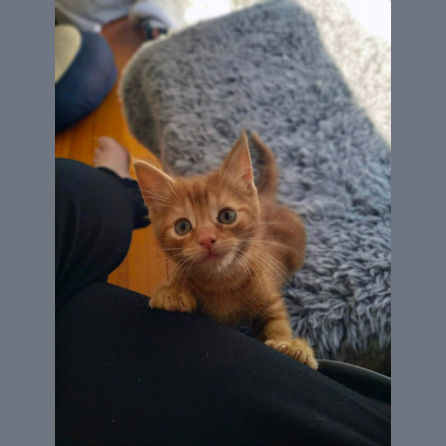 Photo of 🧡 G A R Y 🧡