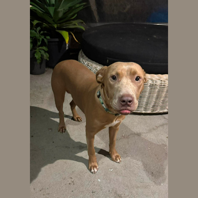 Photo of Buster
