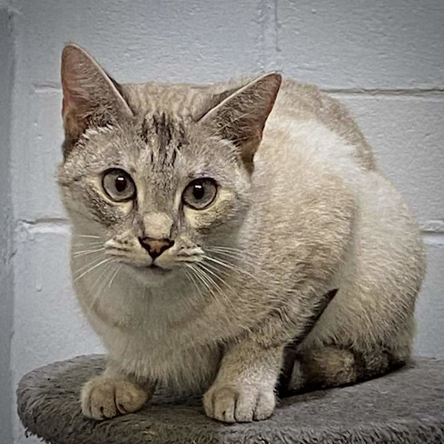 Photo of Missy