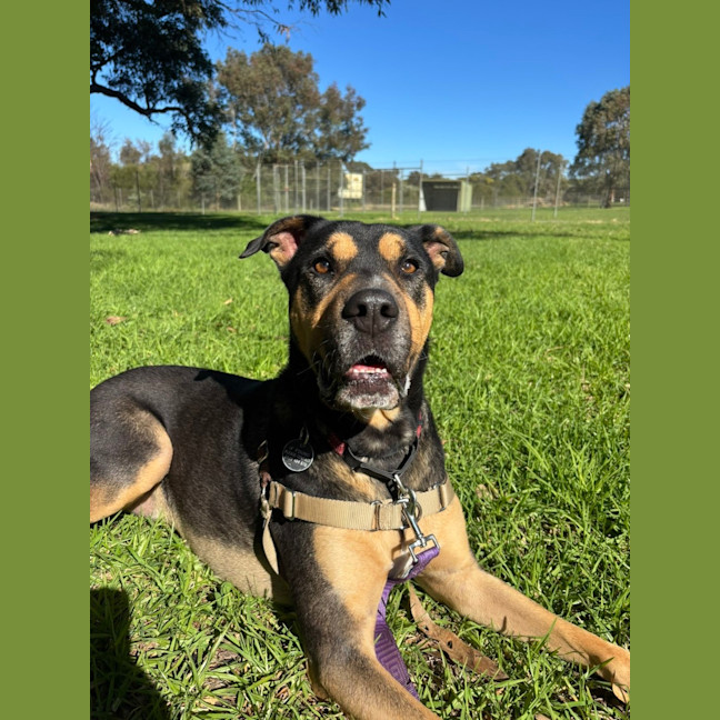 Photo of Tex 