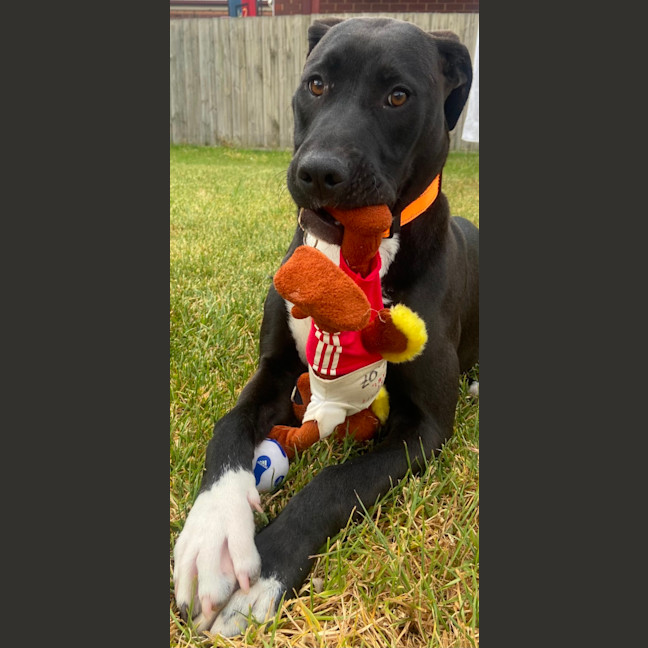 Photo of Billie Piper