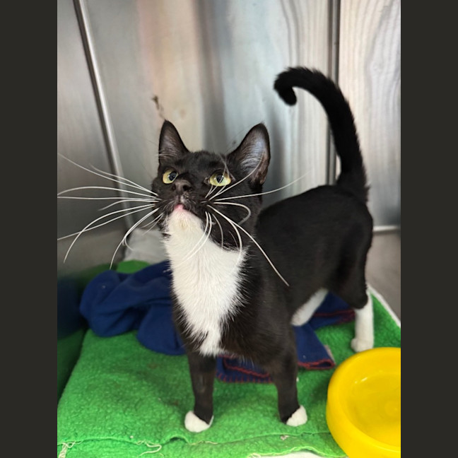 Photo of Catherine Johns