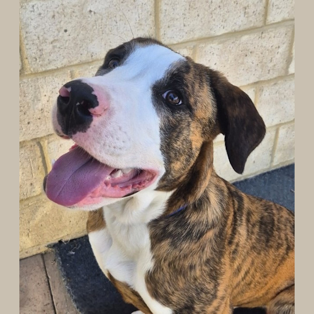 Photo of Bingo
