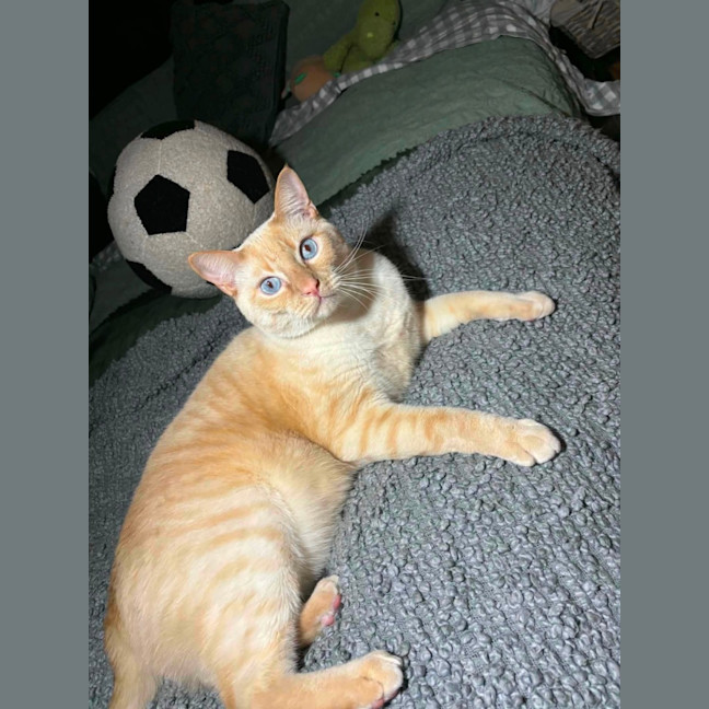 Photo of Biscuit And Raul 