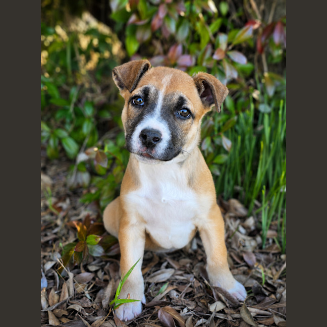 Photo of Jessie