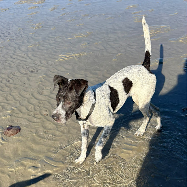 Photo of Lyka
