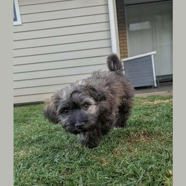 Photo of Flynn