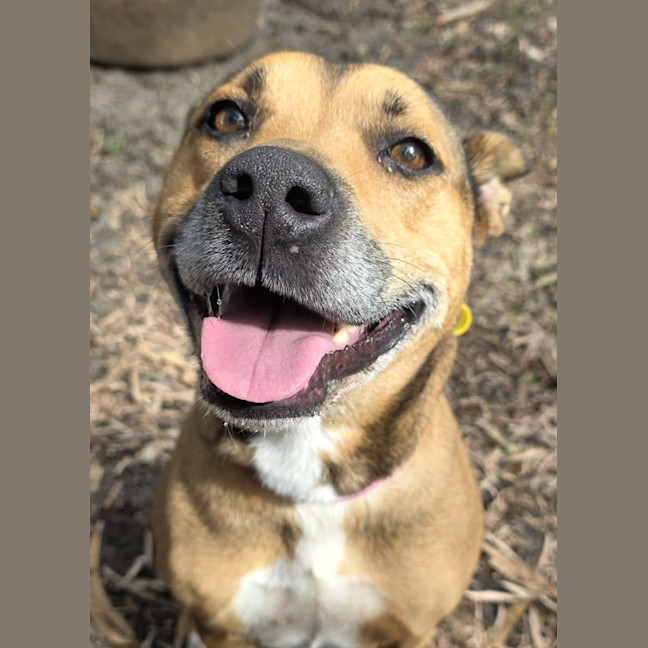 Photo of Lucy