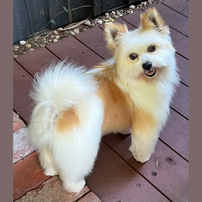 Photo of Bert