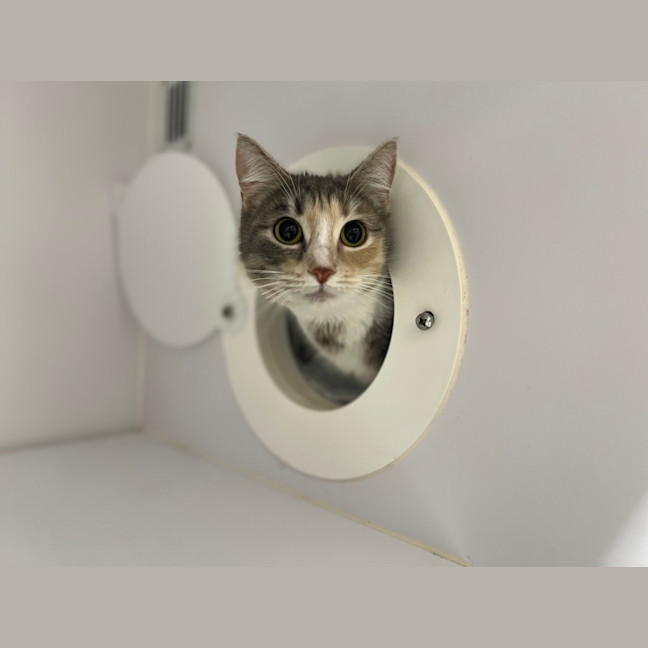 Photo of Mimi