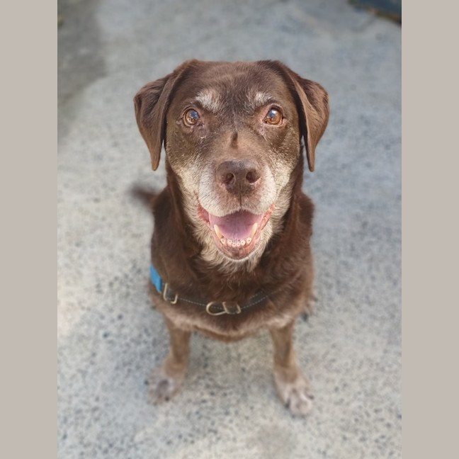 Photo of Molly