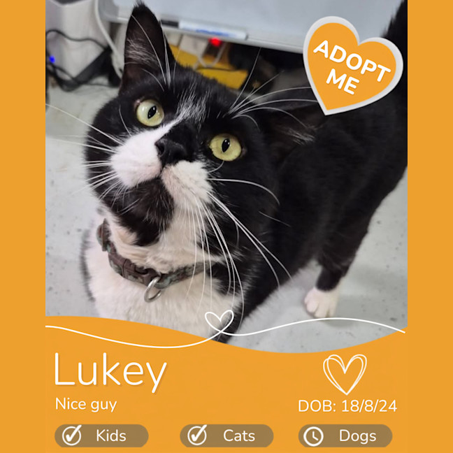 Photo of Lukey