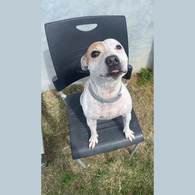 Photo of Molly (0976)