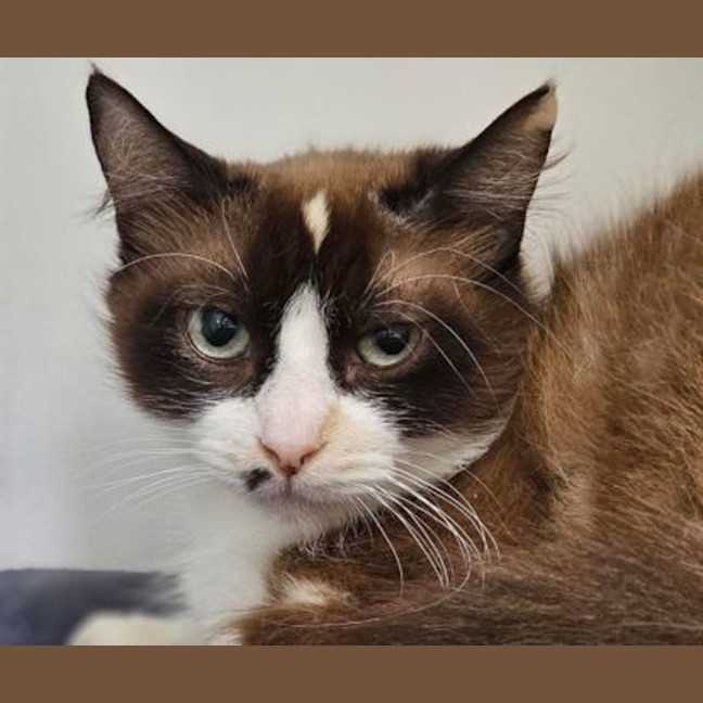 Photo of Miss Thing