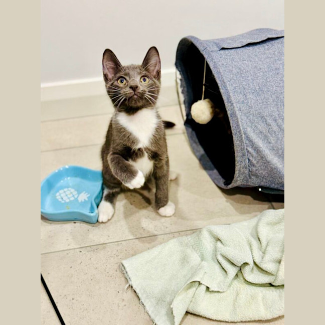 Photo of Dora And Tom