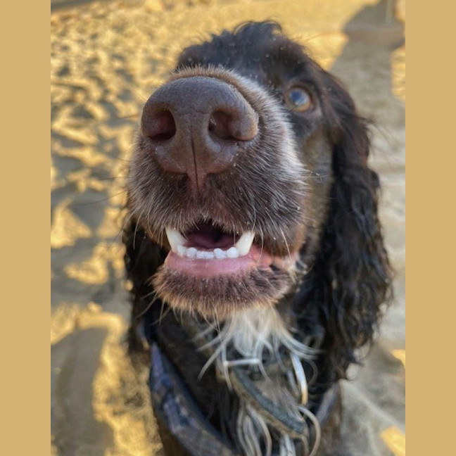 Photo of Khai Illingworth