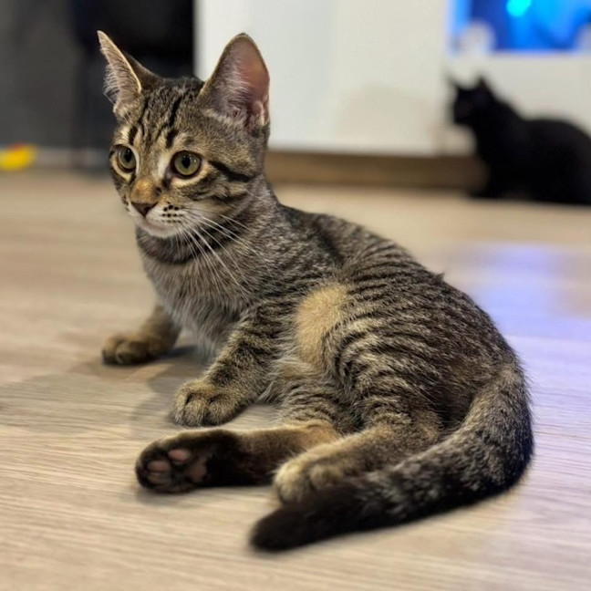 Photo of 11964   Trevor