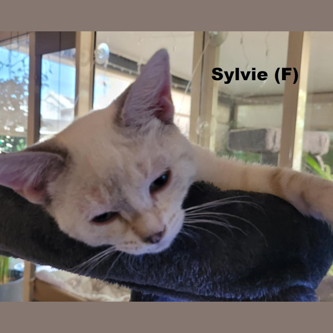 Photo of Sylvie