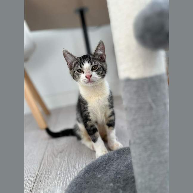 Photo of Wasabi 