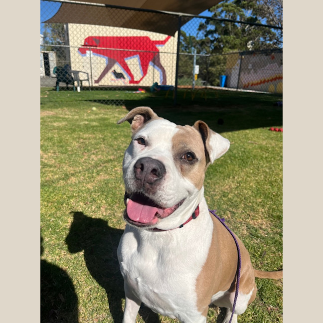 Photo of Mia