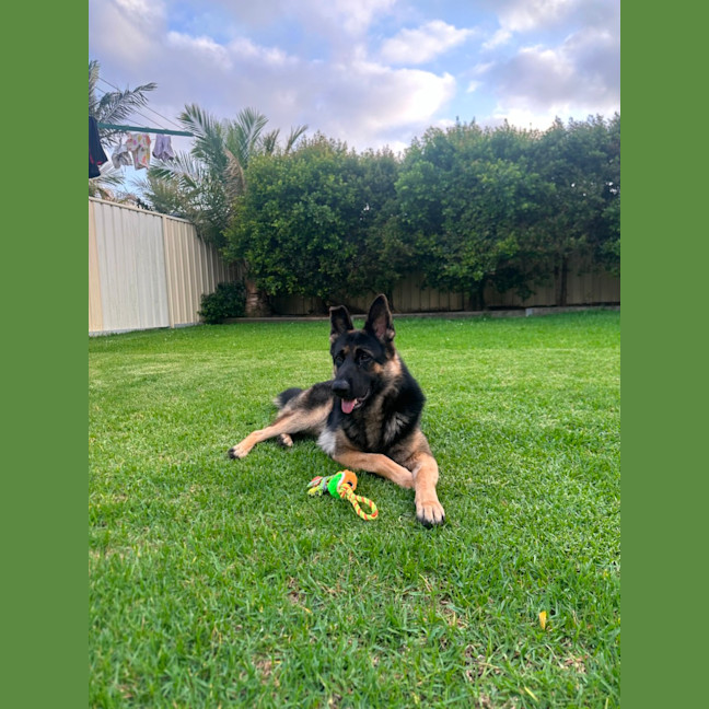 Photo of Tank