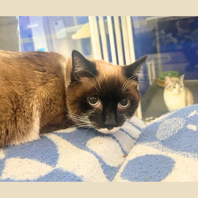 Photo of Tiny
