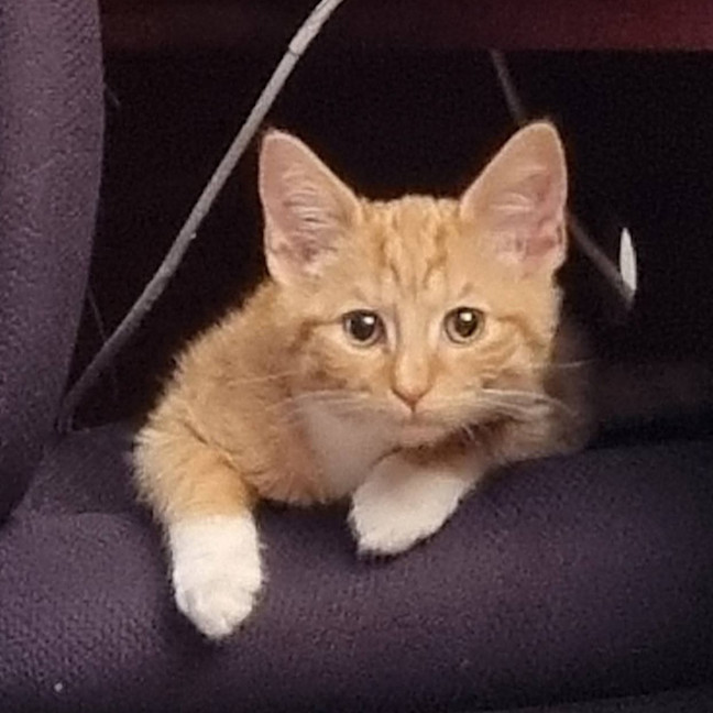 Photo of Pilot