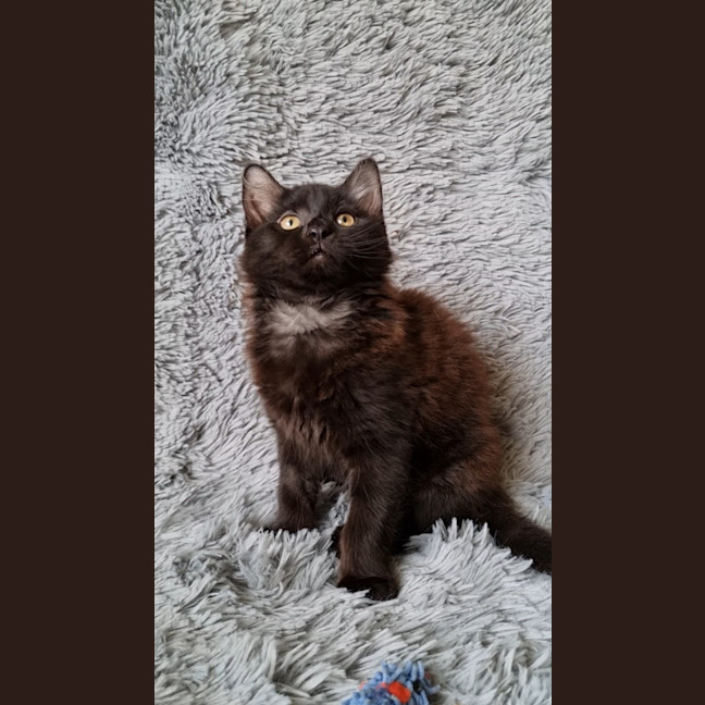 Photo of Athena