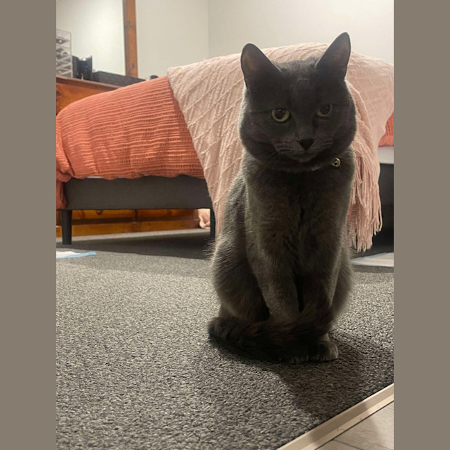Photo of Mia (Memeow)