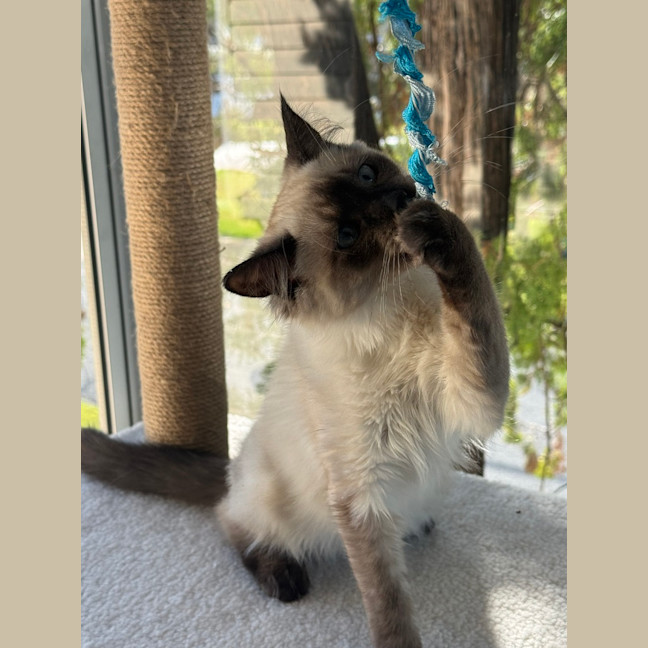Photo of Salty