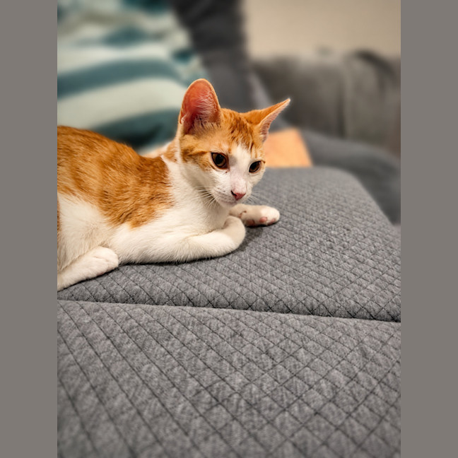 Photo of Bingo