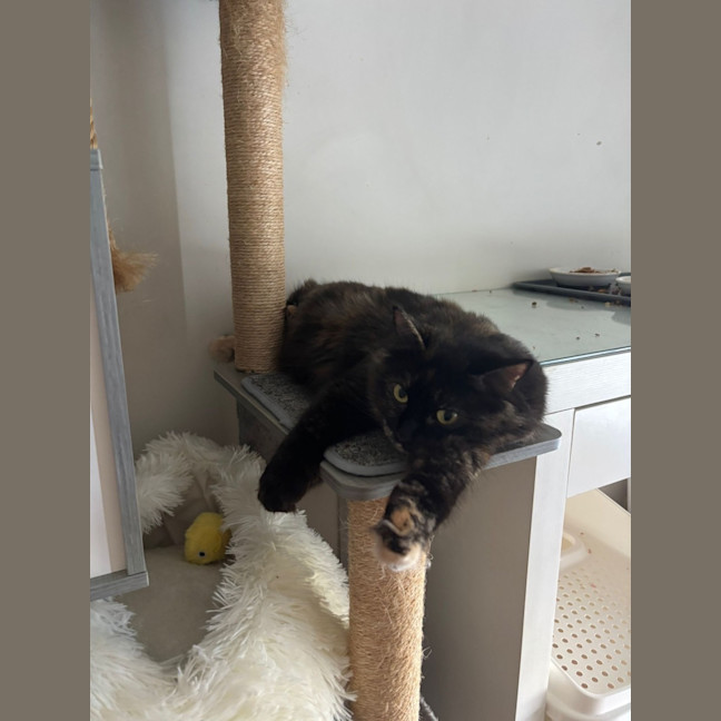 Photo of Hazel