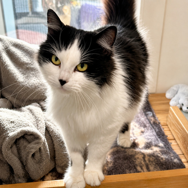 Photo of Nikita