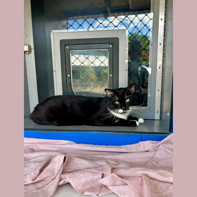 Photo of Nic Nicholas