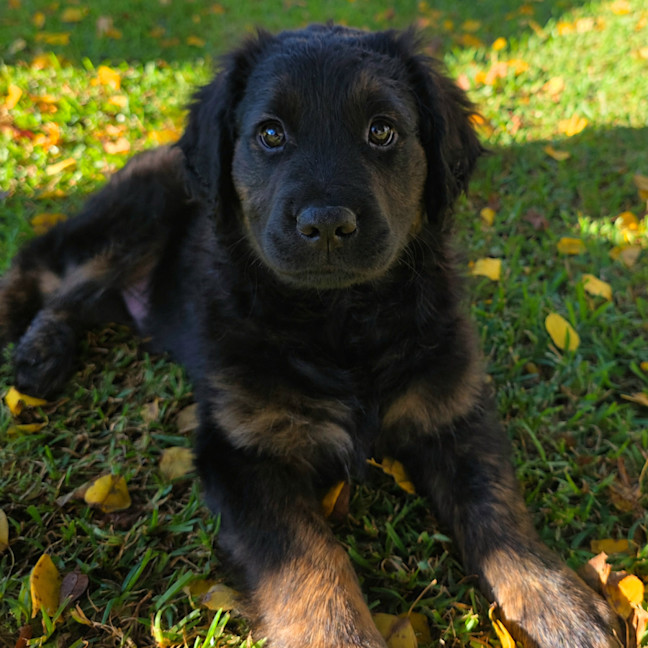 Photo of Max