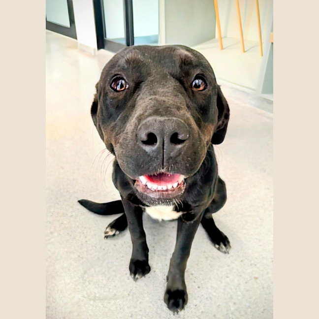 Photo of 🍓 Vera 6780 🍓