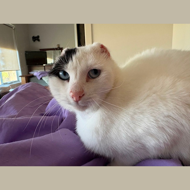 Photo of Jenny