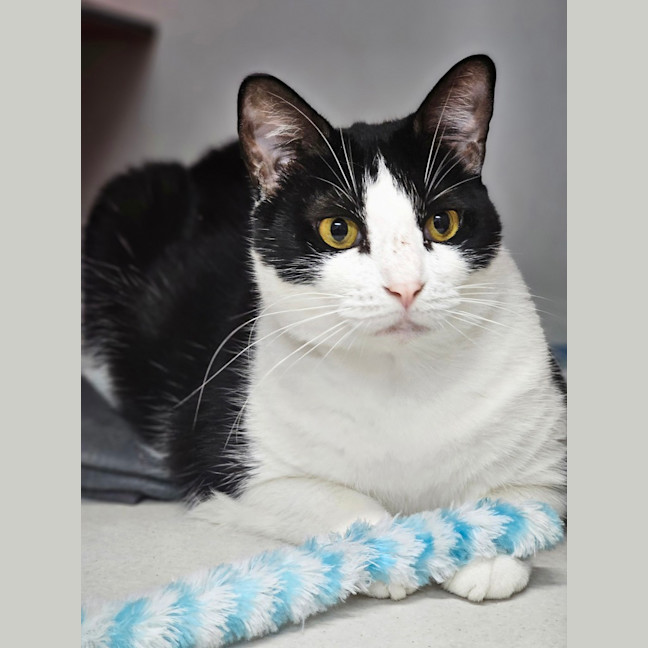 Photo of Luna