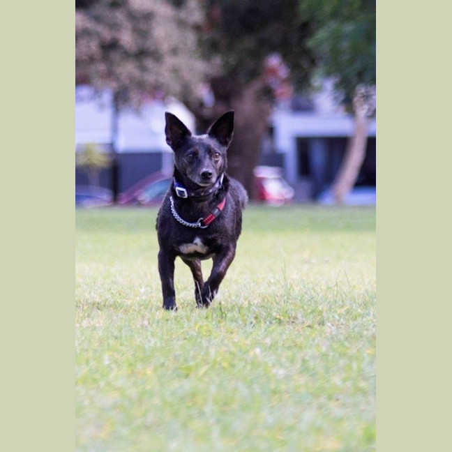 Photo of Basil Moriarty