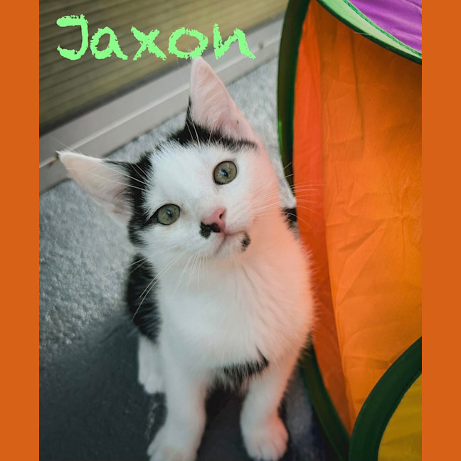 Photo of Jaxon