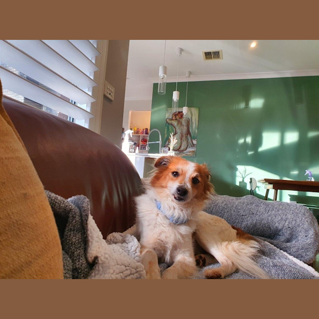 Photo of Basil Silvanus