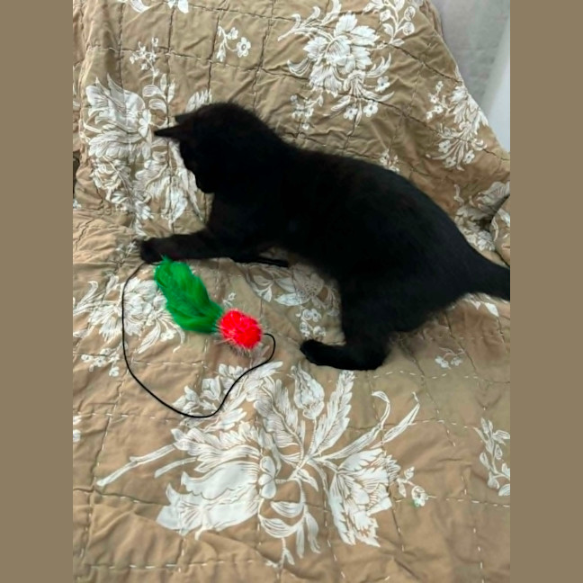 Photo of Billie Buttons