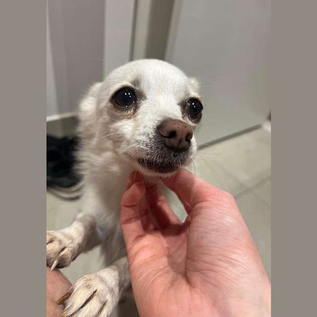 Photo of Maggie