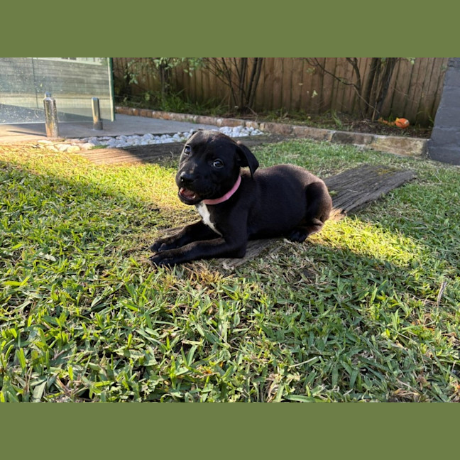 Photo of Mable