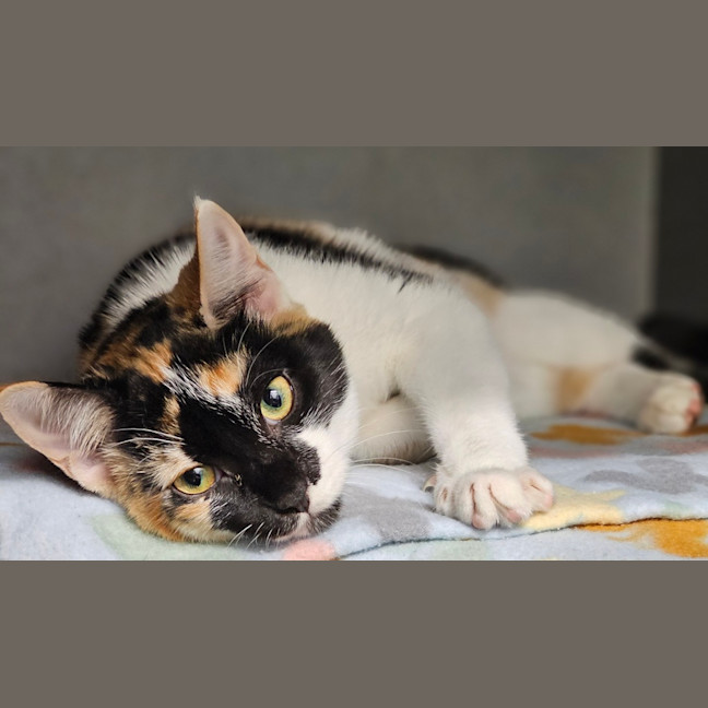 Photo of Myah