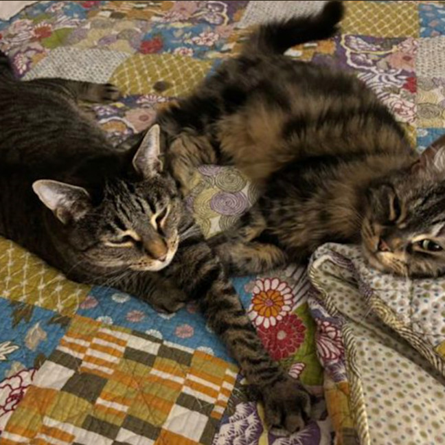 Photo of Bessie & Patch