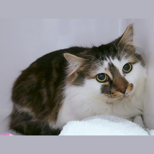 Photo of Charlie Sta012773