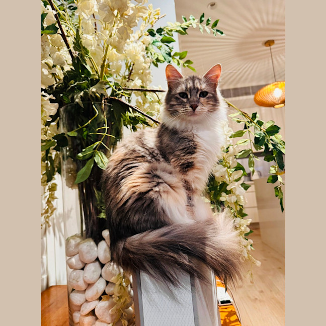 Photo of Lucy