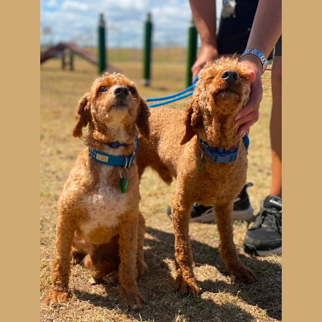 Photo of Penn And Teller 